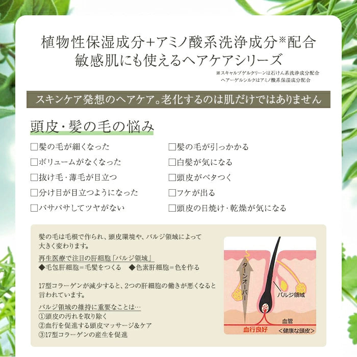 ベルマン化粧品 プレーネ ゲルシャンプー / ヘアーゲルシルク / スキャルプゲルクリーン 本体 / 詰替え シャンプー トリートメント スカルプケア セット T-M