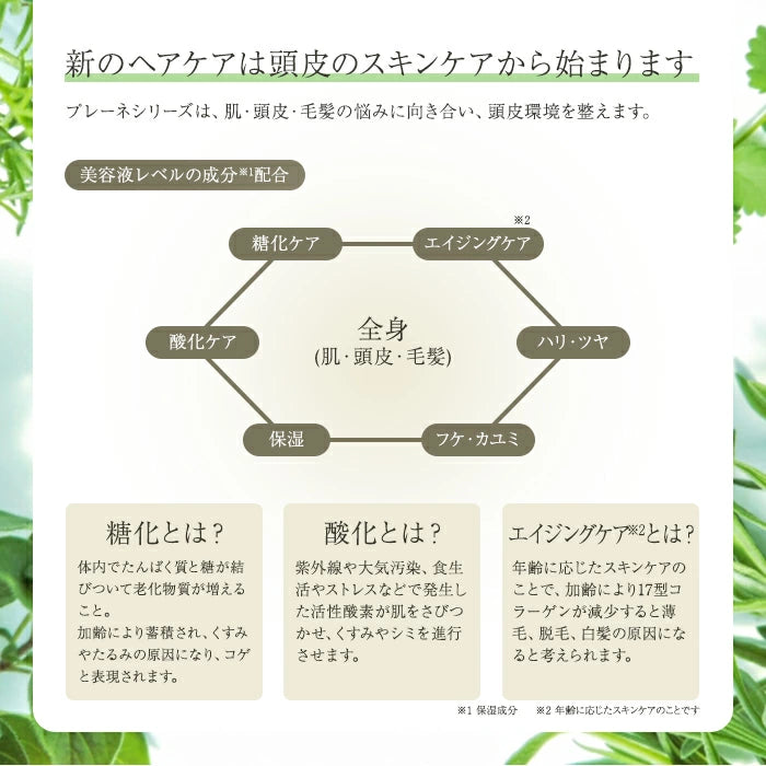 ベルマン化粧品 プレーネ ゲルシャンプー / ヘアーゲルシルク / スキャルプゲルクリーン 本体 / 詰替え シャンプー トリートメント スカルプケア セット T-M
